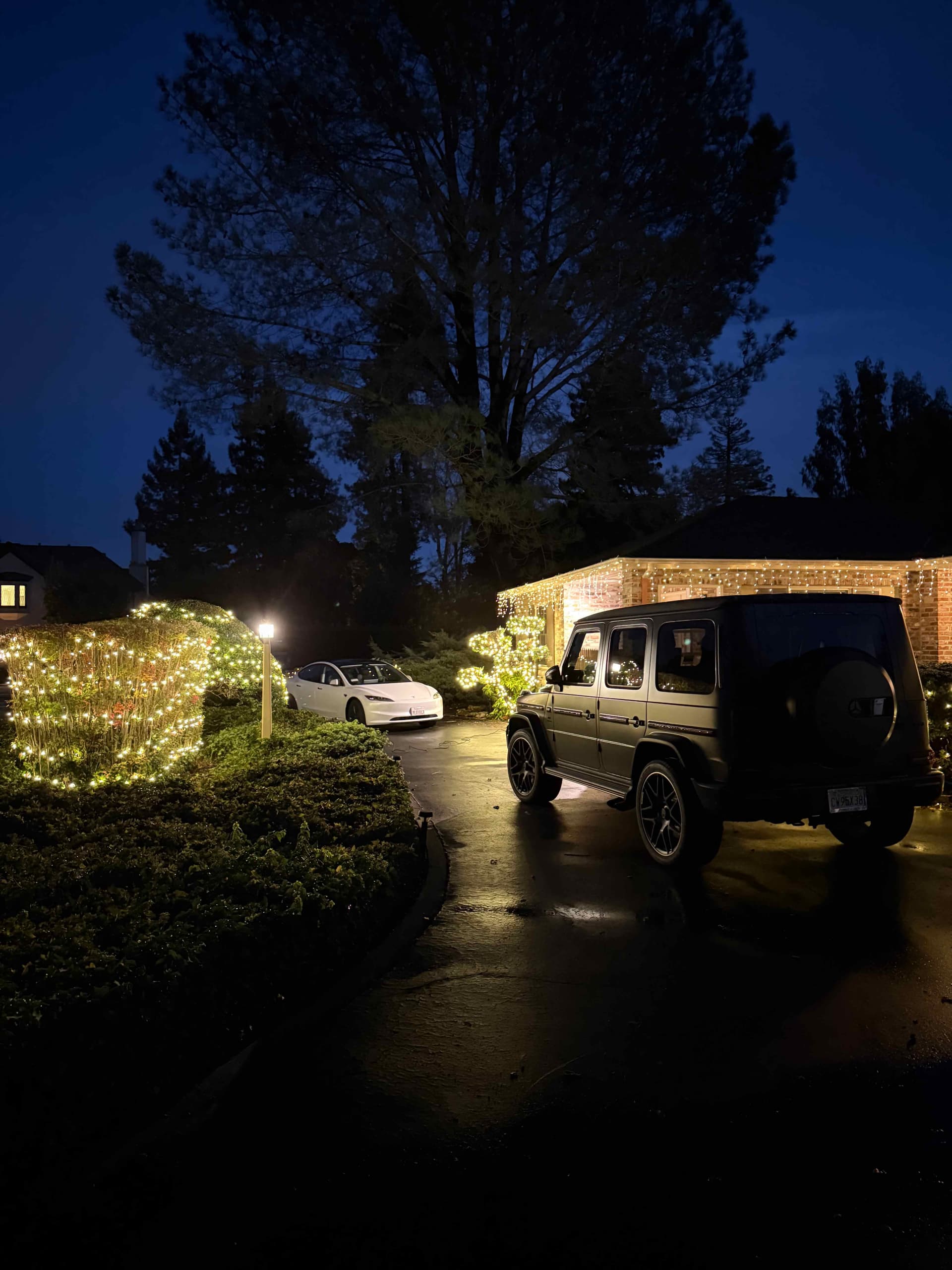 Warm white icicle lights on the garage eave with densely wrapped shrubs lining the driveway