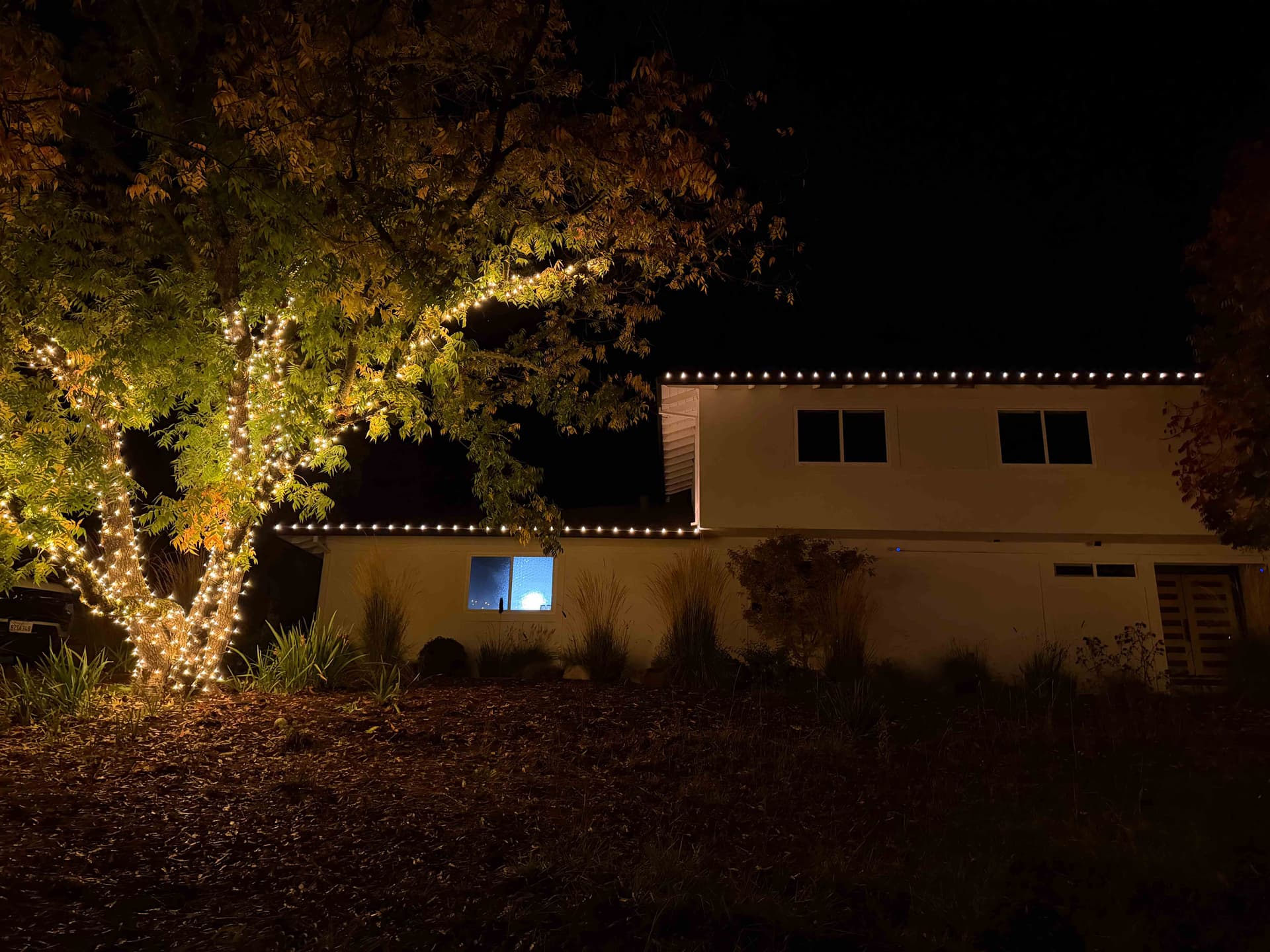 Clean warm white roofline paired with a fully wrapped front yard tree