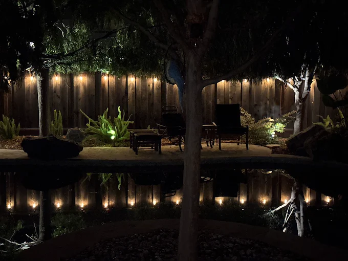 Serene backyard with string lights along fence and beautiful water reflection